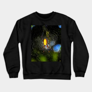 Golden Orb Spider in web Crewneck Sweatshirt